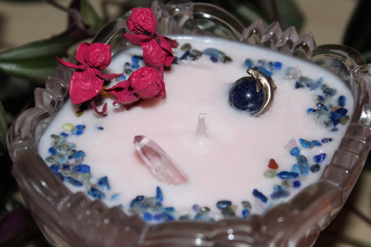Dolphin Candle